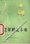 怎样孵化小鸡 封面