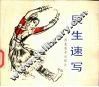 辰生速写 封面