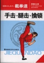 截拳道  手击·腿击·擒锁 封面