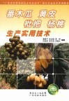番木瓜  黄皮  枇杷  杨桃生产实用技术 封面