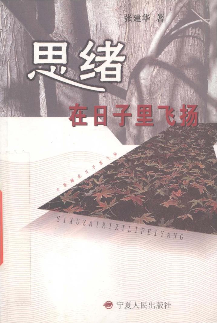 思绪  在日子里飞扬 封面