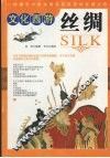 文化西游·丝绸 封面