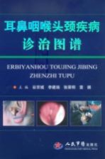 耳鼻咽喉头颈疾病诊治图谱 封面