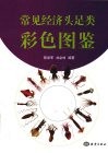 常见经济头足类彩色图集 封面