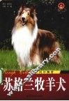苏格兰牧羊犬  风中舞者 封面