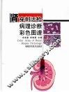 肾穿刺活检病理诊断彩色图谱 封面