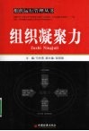 组织凝聚力 封面
