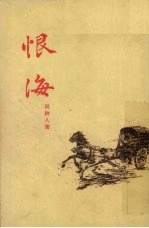 恨海 封面