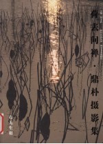 荷去问禅·鼎朴摄影集 封面