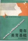 青年美育基础 封面