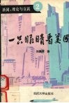 一只眼睛看美国 封面