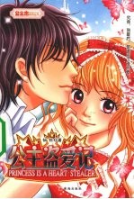 公主盗爱记 封面