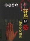 针灸经穴  触诊定位图谱 封面