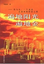 遍地阳光遍地金  得与失  一个成功企业家的财富之路 封面