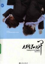 木棉花又开 封面