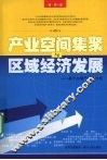 产业空间集聚与区域经济发展  基于白酒产业的分析 封面