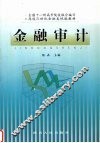金融审计 封面