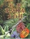 彩图花草种养大百科 封面