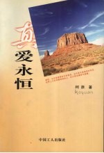 真爱永恒 封面