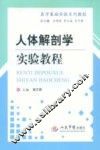 人体解剖学实验教程 封面