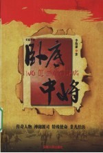 卧底中将 封面