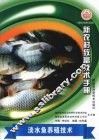 淡水鱼养殖技术 封面