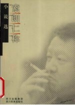 索朗仁称小说选 封面