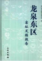 龙泉东区窑址发掘报告 封面