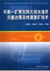 平禹一矿寒灰特大突水淹井灾害治理及快速复矿技术 封面
