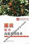 图说银杏高效栽培技术 封面