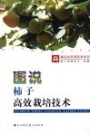 图说柿子高效栽培技术 封面