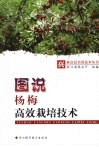 图说杨梅高效栽培技术 封面