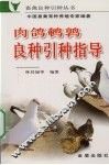 肉鸽  鹌鹑良种引种指导 封面