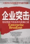 企业突击  世纪危机下的生存与发展之道 封面