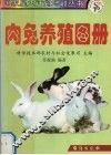 肉兔养殖图册 封面