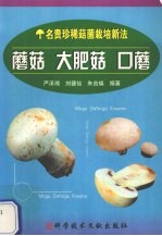蘑菇  大肥菇  口蘑 封面