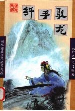 纤手驭龙  中 封面