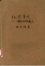 红色年代  一群红卫兵的履灭 封面