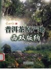 普洱茶原产地西双版纳 封面