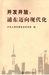 开发开放：浦东迈向现代化 封面