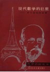 现代数学的巨星  希尔特的故事 封面