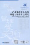 产业集群竞争力的理论与评价方法研究 封面