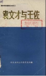 袁文才与王佐 封面