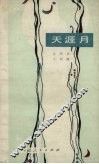 天涯月 封面