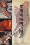 实用鸡病防治图册 封面
