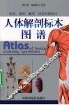 人体解剖标本图谱 封面