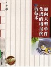 面向大型单件集成的增量接收技术 封面