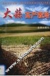 大蒜高产栽培 封面