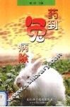 药到兔病除 封面