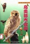 鸟类标本收藏 封面